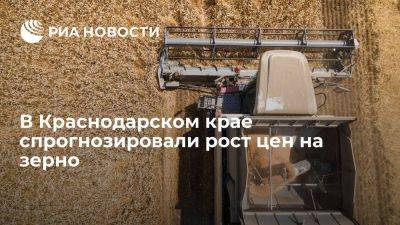 Администрация Кубани: спрогнозировали рост цен на зерно до 17 тысяч рублей