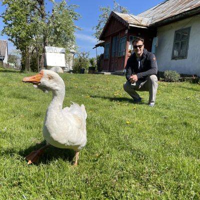 Самая старая гусыня Украины умерла на Львовщине, птица прожила 38 лет - фото