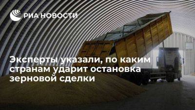 Доклад: остановка зерновой сделки ставит под удар страны с большой продуктовой инфляцией