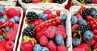 Как ягоды влияют на организм и сколько можно съесть: советы иммунолога