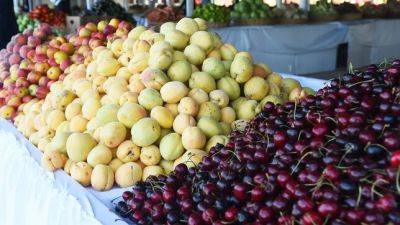 В Таджикистане нарастили экспорт фруктов