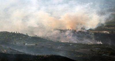 Лесные пожары бушуют в Турции на фоне продолжающейся жары