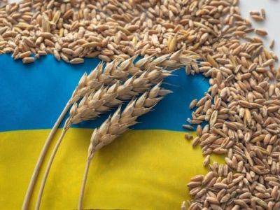 Reuters: пять стран ЕС хотят продлить действие запрета на импорт украинского зерна
