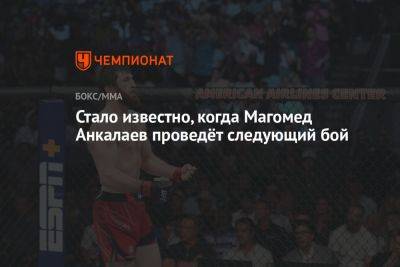 Никита Крылов - Ян Блахович - Магомед Анкалаев - Стало известно, когда Магомед Анкалаев проведёт следующий бой - championat.com