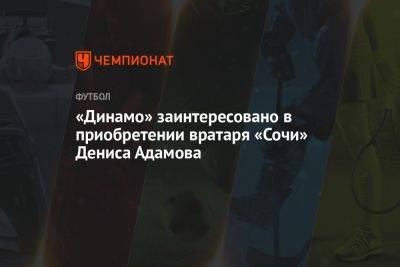 «Динамо» заинтересовано в приобретении вратаря «Сочи» Дениса Адамова