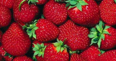 Ученые назвали летний фрукт, который полезен для сердца
