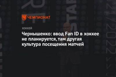 Чернышенко: ввод Fan ID в хоккее не планируется, там другая культура посещения матчей