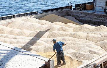 Украина создает альтернативный маршрут вывоза зерна