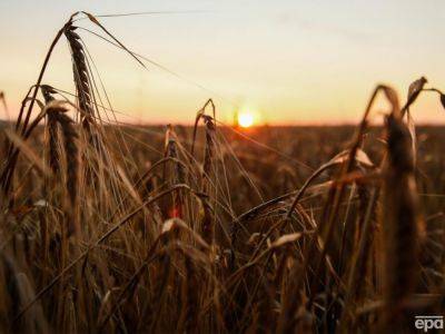 Пять стран ЕС хотят продлить мораторий на импорт украинского зерна