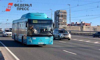 Власти Петербурга забраковали лазурные автобусы: причина