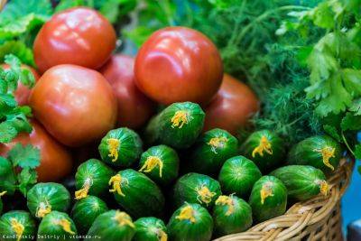В Украине резко упали в цене помидоры и огурцы: где купить самые дешевые