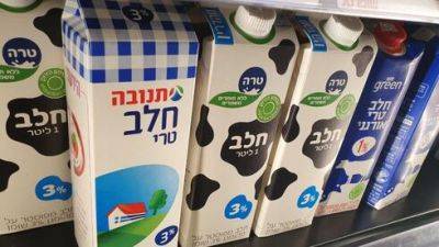 "Израиль ждут новые подорожания": фермеры против импорта молока из-за границы
