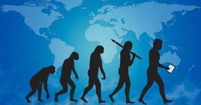 Новые открытия в эволюции: гибкий свод стопы изменил человечество навсегда