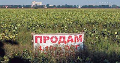 Цены на землю в Украине растут: названы регионы с самыми дорогими участками