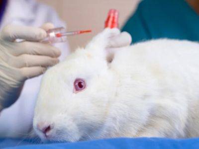 Канада официально запретила тестирование косметики на животных