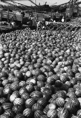 Киев в 1960-х годах - фото баржи с арбузами в Речном порту - архивные фото - apostrophe.ua - Украина - Киев - Херсон - Прага