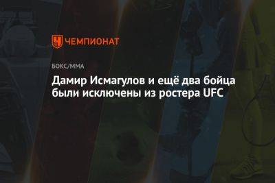 Александр Романов - Дамир Исмагулов - Дамир Исмагулов и ещё два бойца были исключены из ростера UFC - championat.com - Россия