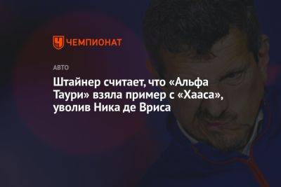 Штайнер считает, что «Альфа Таури» взяла пример с «Хааса», уволив Ника де Вриса