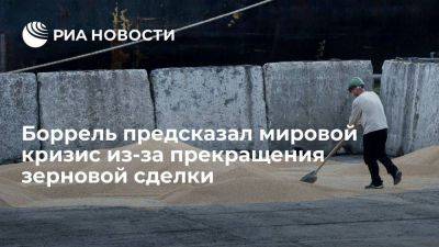 Боррель: прекращение зерновой сделки приведет к нехватке продовольствия в мире