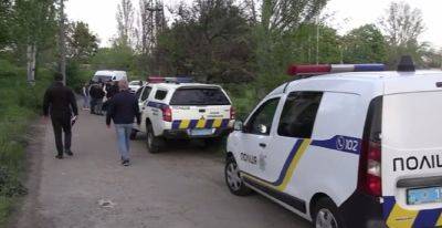 Водитель врезался в телегу с лошадью на Одесчине: кадры с места трагической аварии