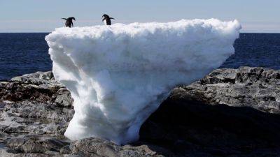 Зимняя площадь льда в Антарктиде достигла минимума