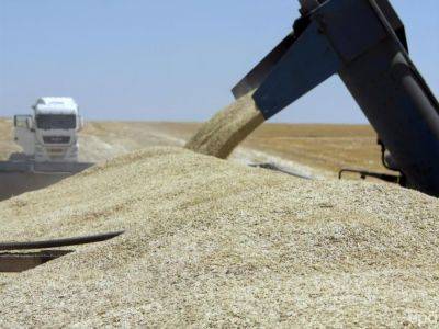 Украина надеется, что Турция убедит РФ вернуться в зерновое соглашение – посол