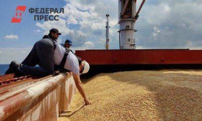 Экономист о доле Украины в мировом экспорте зерна: «Ничтожно мала»