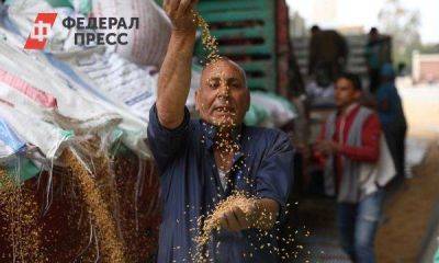 Стало известно, грозит ли миру голод из-за прекращения зерновой сделки