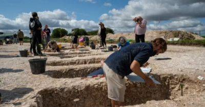 Военные ветераны обнаружили "самую богатую могилу этого года" на Солсберийской равнине (фото)
