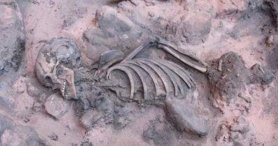 Захоронение древнего подростка с болезнью позвоночника: почему находка озадачила археологов