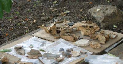 Откопанные капсулы времени: археологи нашли сокровища 17-20 веков в Винницком монастыре (фото)