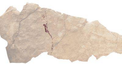 Древние люди покоряли скалы и другие высоты: об этом говорят доисторические рисунки в Испании (фото)