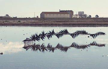 13 фантастических фотографий птиц