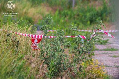 Житель Харьковщины подорвался на неизвестном предмете в высокой траве у дома
