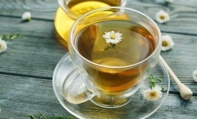 Как правильно собирать и сушить ромашку для чая: советы опытных травников