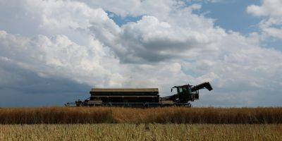 Россия будет вынуждена вернуться к зерновой сделке из-за давления Турции и Китая — Bild
