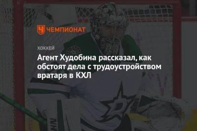Агент Худобина рассказал, как обстоят дела с трудоустройством вратаря в КХЛ