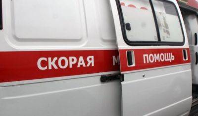 Мужчина в Сырдарьинской области скончался после укуса своей собаки