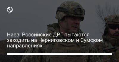Наев: Российские ДРГ пытаются заходить на Черниговском и Сумском направлениях