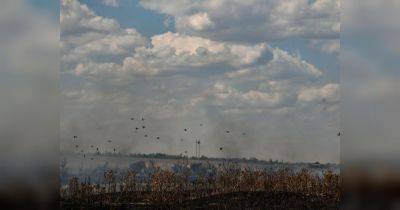 В Николаевской области горят заминированные поля, происходит детонация, — ГСЧС