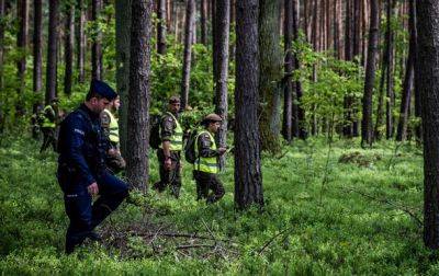В лесу в Польше упал военный дрон США - СМИ