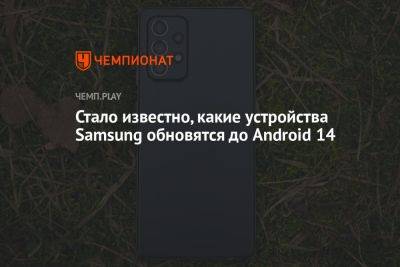 Стало известно, какие устройства Samsung обновятся до Android 14
