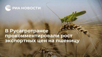 Русагротранс: выход России из зерновой сделки дал старт росту экспортных цен на пшеницу