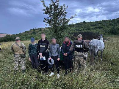 В Одесской области мужчина третий раз попытался переправить "уклонистов" за границу