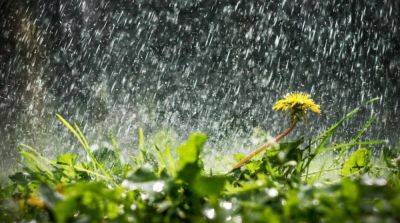 Погода на выходных принесет украинцам дожди и грозы