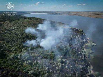 Пожар в Одесской области: у берегов лимана выгорело 8 га травы | Новости Одессы