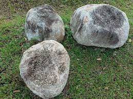 Ученых заворожил «чрезвычайно захватывающий и редкий» доисторический камень: нашли случайно