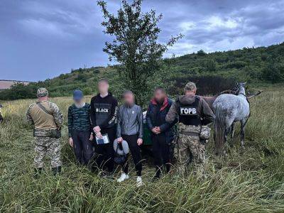 Бежали на телеге. Трех уклонистов с Харьковщины поймали на границе с Молдовой