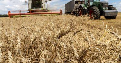 Зерновая сделка: из-за выходки РФ уровень экспорта из Украины сильно упадет, — СМИ