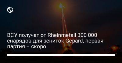 ВСУ получат от Rheinmetall 300 000 снарядов для зениток Gepard, первая партия – скоро